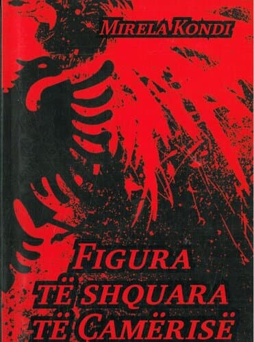 Figura Te Shquara Te Camerise